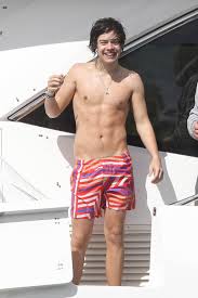 Popular Harry Styles topless