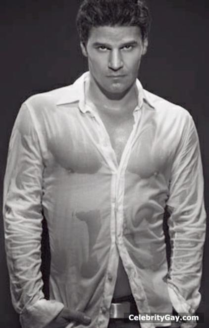 David Boreanaz Shirtless