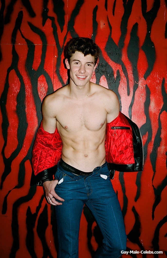 Shawn Mendes Sexy