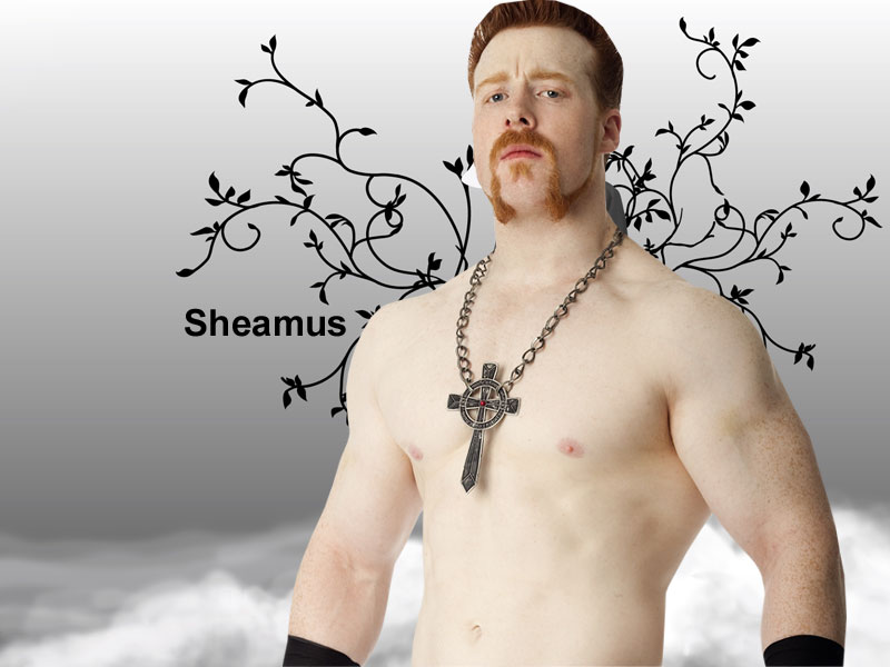Sheamus WWE Sexy