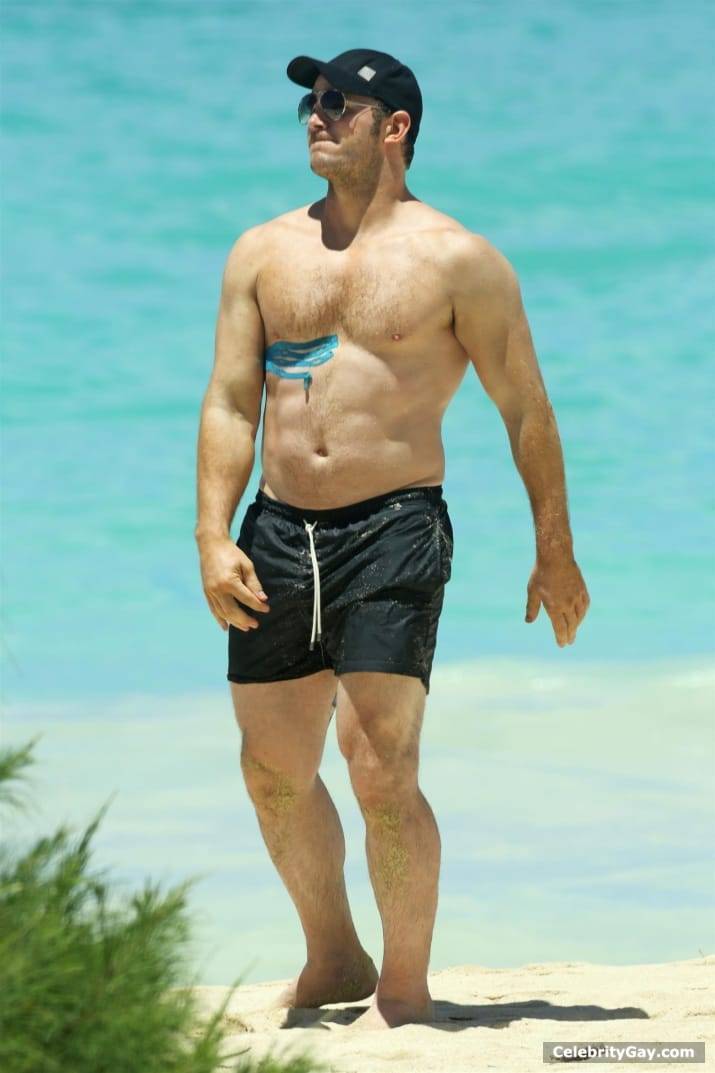 Chris Pratt Shirtless (33 photos)