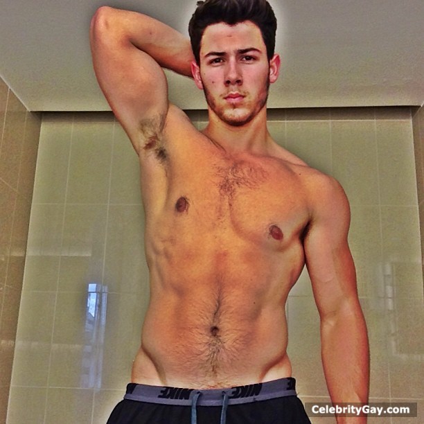 Nick Jonas Sexy (32 Photos)