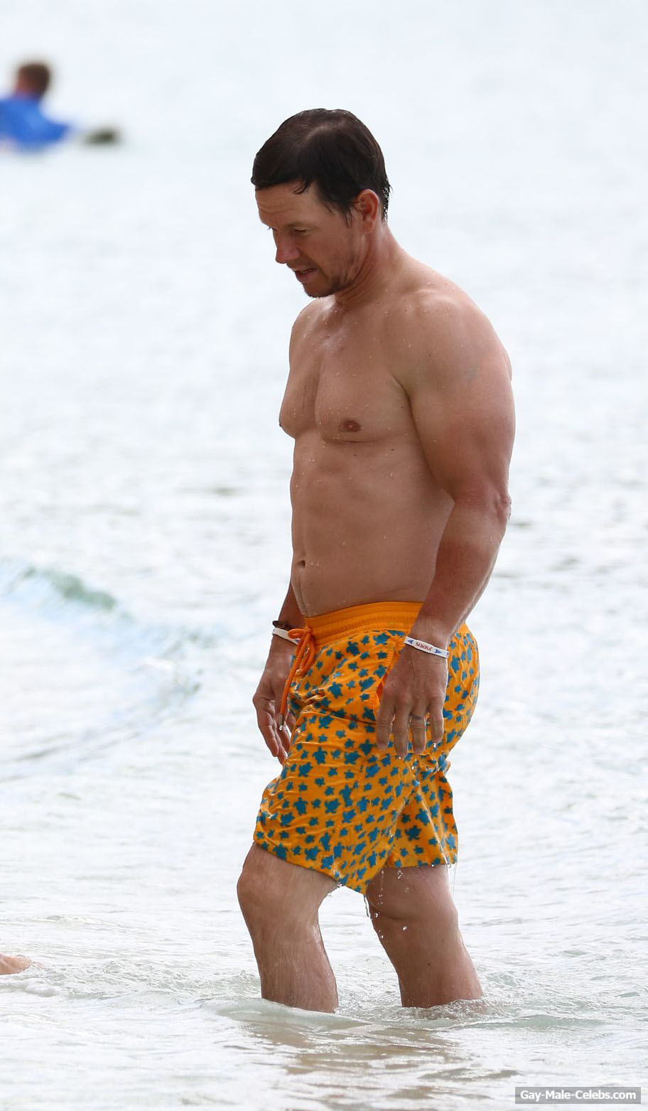 Mark Wahlberg Shirtless (21 Photos)