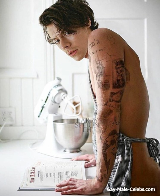 Harry Styles nude photos