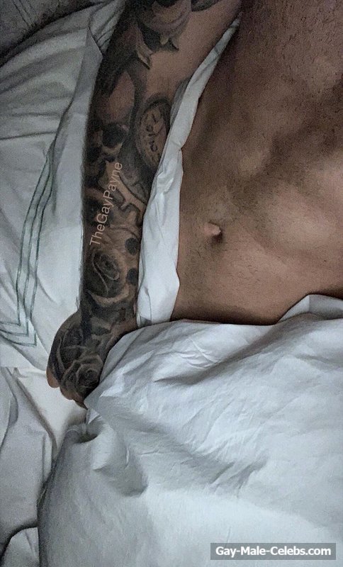 Liam Payne Naked (5 Photos)