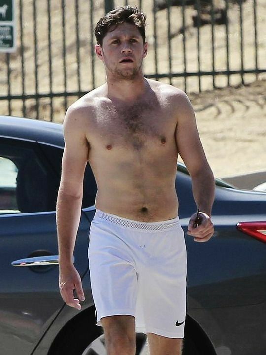 Niall Horan Shirtless (1 Photo)