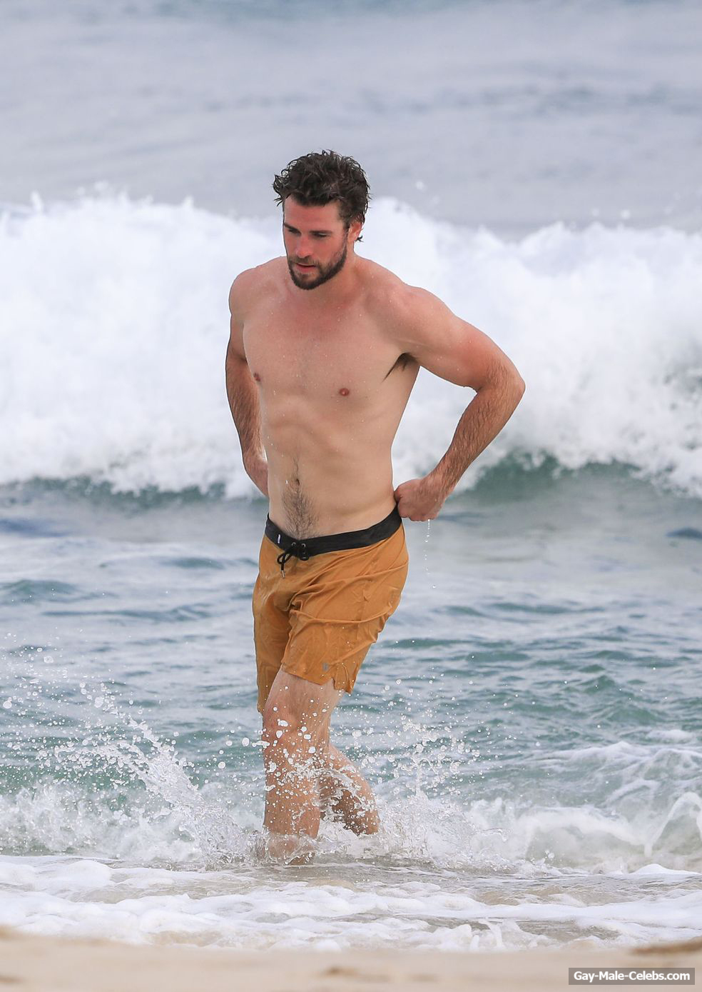 Liam Hemsworth Sexy (5 Photos)