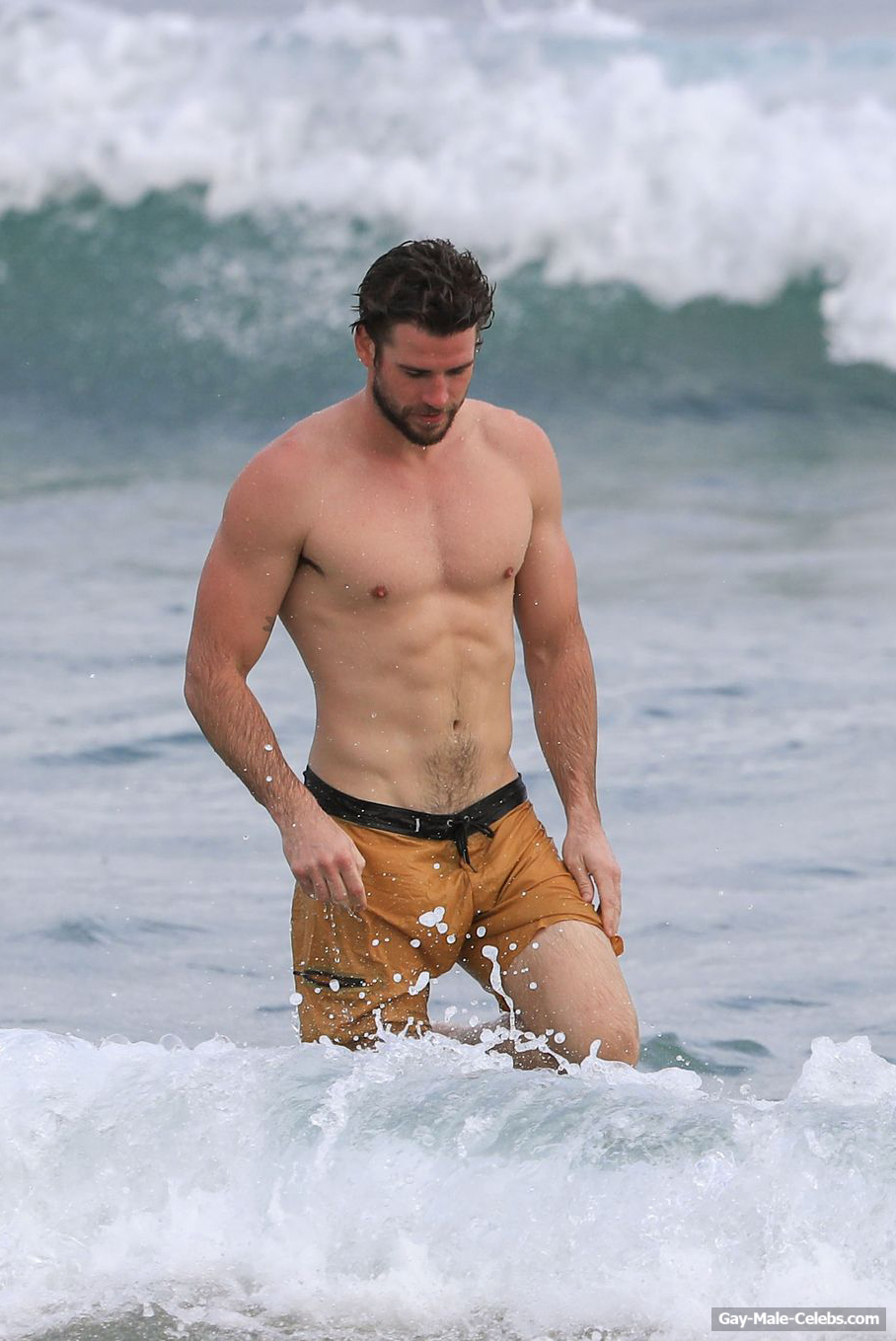 Liam Hemsworth Sexy (1 Photo)
